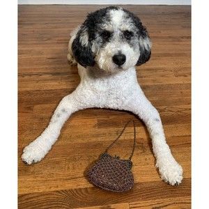 Beaded Bag / Purse With 2 Different Chain Length Straps